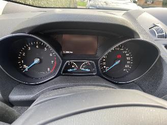 Ford Kuga 1.5 EcoBoost Trend Ultimate picture 16