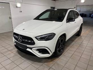 uszkodzony samochody osobowe Mercedes GLA 180 AMG Line PANO/AHK/KAM/NAVI 2025/9