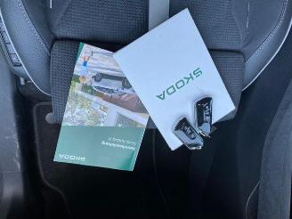 Skoda Kodiaq iV 1.5 TSI e-Hybrid Sportline HUD/KAM picture 24