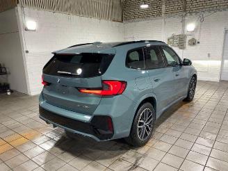 BMW X1 sDrive20d M Sport AHK/KAM/NAVI picture 10