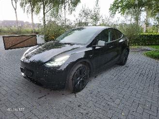 Unfallwagen Tesla Model Y Model Y Long Range RWD Panorama Autopilot VOL!! 2025/2