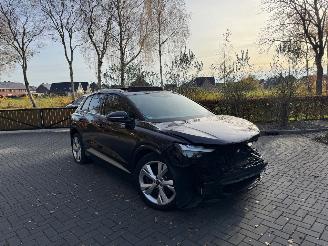 Schadeauto Audi Q4 Audi Q4 E-tron 40e S-Line Panorama Camera LED VOL 2022/10