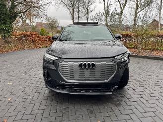 Audi Q4 Audi Q4 e-tron 45 e-tron S-Line Panorama Camera LED ! picture 22