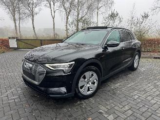 Audi E-tron Audi E-tron 55 Quattro S-Line Panorama Leder Trekhaak VOL picture 17