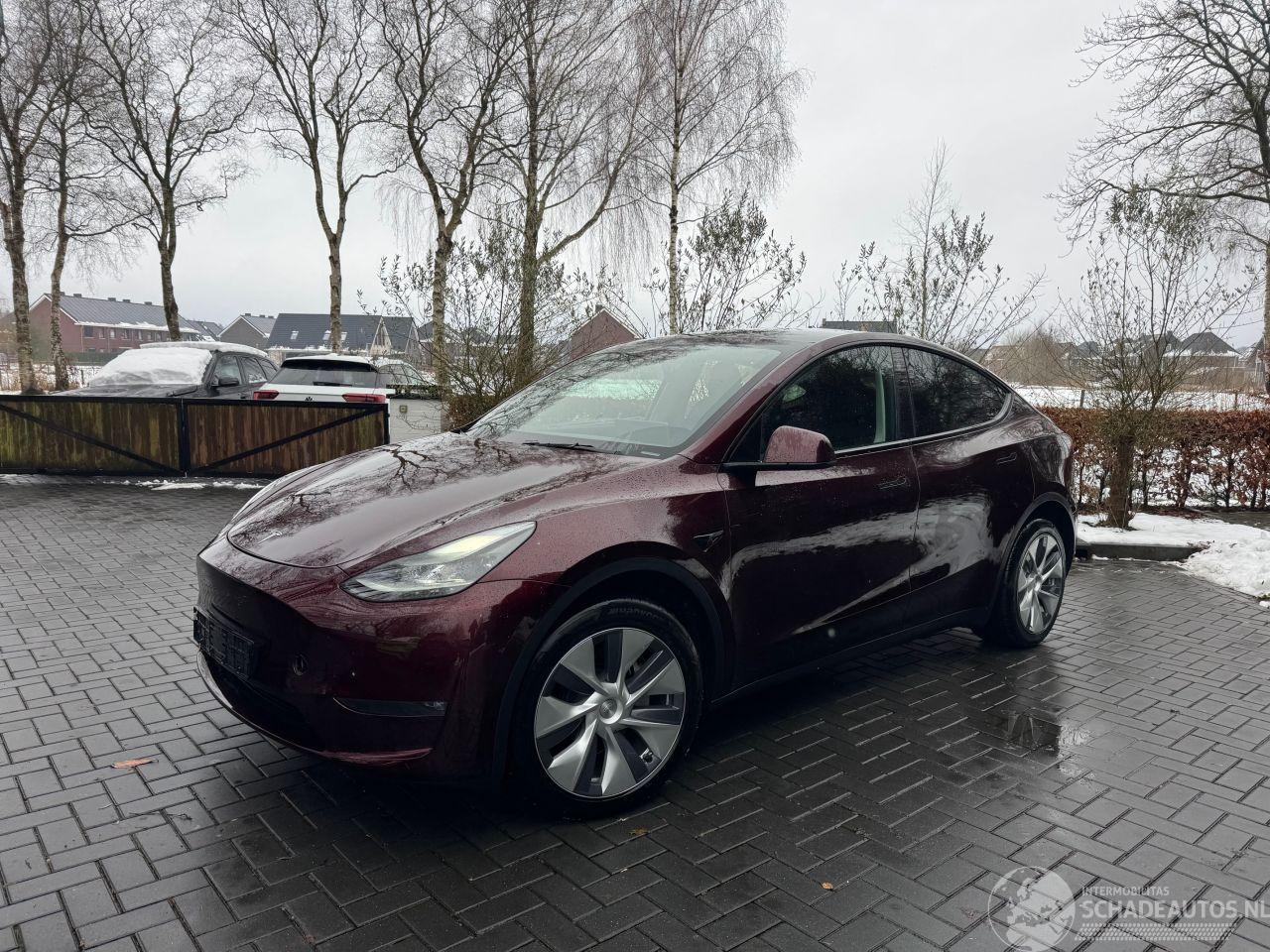 Tesla Model Y Tesla Model Y Long Range Dual AWD Panoramadak Camera Autopilot VOL