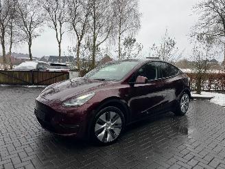 Unfallwagen Tesla Model Y Tesla Model Y Long Range Dual AWD Panoramadak Camera Autopilot VOL 2024/3