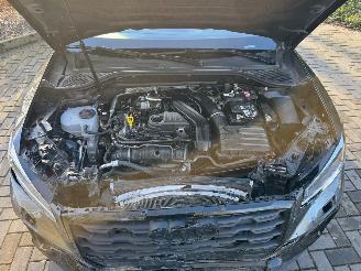 Audi Q2 Audi Q2 35 TFSI S line PANO CAMERA AHK Ambiance 2025 picture 20