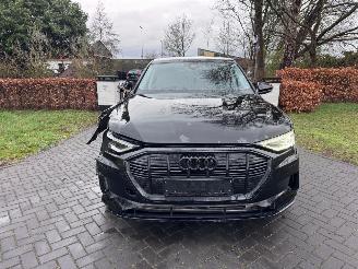 Audi E-tron e-tron 55 Quattro S-Line Camera Head-Up Display VOL picture 24