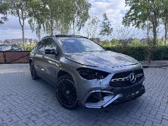 Mercedes GLA Mercedes-Benz GLA 250e AMG PANO Trekhaak Camera Ambiance HUD VOL!! picture 28