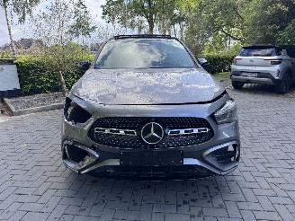 Mercedes GLA Mercedes-Benz GLA 250e AMG PANO Trekhaak Camera Ambiance HUD VOL!! picture 24