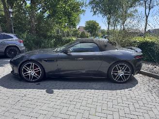 Jaguar F-type F-Type F-TYPE Cabriolet Chequered Flag Leder VOL picture 30