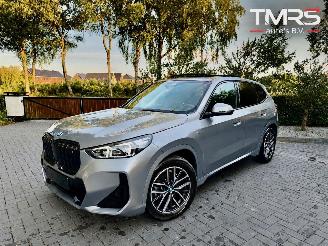uszkodzony samochody osobowe BMW iX1 iX1 30 xDrive M Sport PANO HUD Frozen-Grey VOLL 2023/4