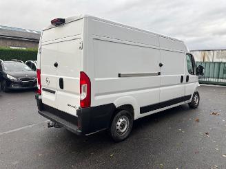 Opel Movano MAXI picture 5