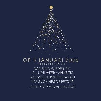 Unfallwagen Alfa Romeo 1750  2026/1