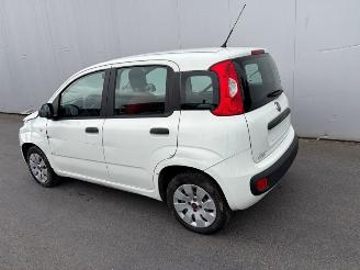 Schadeauto Fiat Panda  2019/6