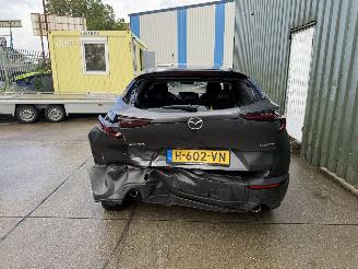 Mazda CX-30 2.0 e-SkyActiv-X M Hybrid Luxury picture 4