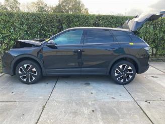 Opel Grandland Grandland (OV64), SUV, 2024 1.2 Turbo 12V Hybrid 136 picture 2