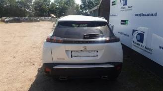 Peugeot 2008 2008 (UD/UK/UR/US/UX), MPV, 2019 1.2 VTi 12V PureTech 130 picture 2