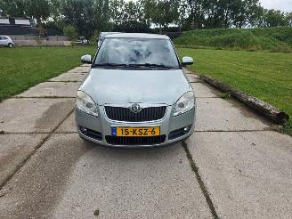 Avarii autoturisme Skoda Fabia  2010/2