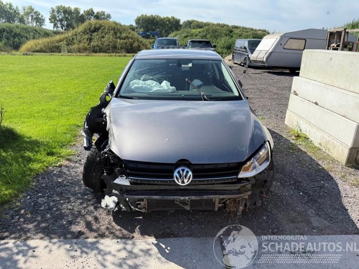 Volkswagen Golf Golf VII (AUA), Hatchback, 2012 / 2021 2.0 TDI 16V