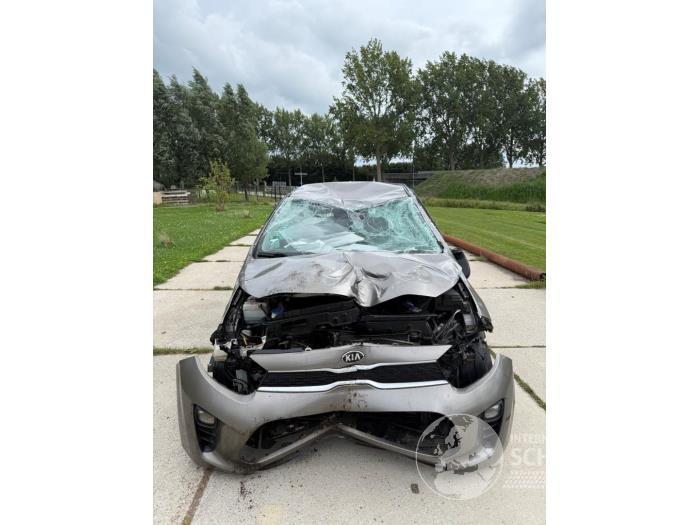 Kia Picanto Picanto (JA), Hatchback, 2017 1.0 12V