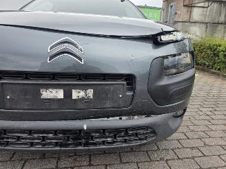 Citroën C4 cactus 1.2 PureTech 82 12V Hatchback 4Dr Benzine picture 21