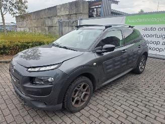 Citroën C4 cactus 1.2 PureTech 82 12V Hatchback 4Dr Benzine picture 3