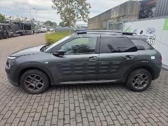 Citroën C4 cactus 1.2 PureTech 82 12V Hatchback 4Dr Benzine picture 5