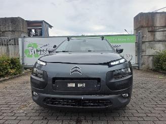 Citroën C4 cactus 1.2 PureTech 82 12V Hatchback 4Dr Benzine picture 2