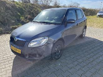 škoda osobní automobily Skoda Fabia 1.2 Classic 2008/12