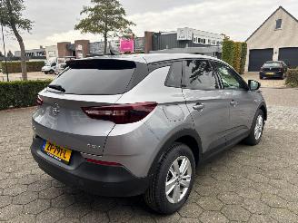 Opel Grandland X picture 6