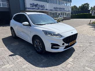 Ford Kuga 2.5 PHEV ST-Line picture 5