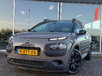 Citroën C4 cactus 1.2 PureTech NAP picture 10