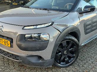 Citroën C4 cactus 1.2 PureTech NAP picture 11