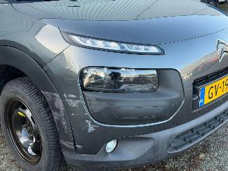 Citroën C4 cactus 1.2 e-VTi Feel AUTOMAAT NAP picture 7