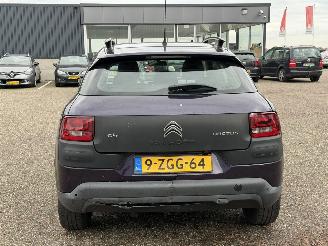 Citroën C4 cactus 1.6 BlueHDi Business picture 5
