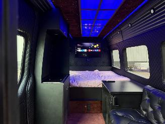 Avarii autoturisme Mercedes Sprinter VIP CAMPER 906 KA 35 SPRINTER 313CDI 2010/2