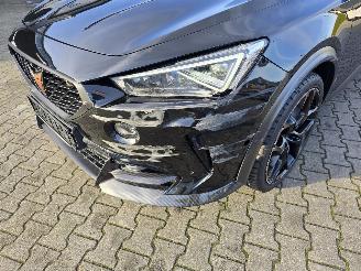 Cupra Formentor VZ 287 kW picture 12