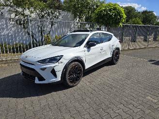 Cupra Formentor VZ 245 kW PANORAMA picture 3