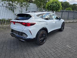 Avarii autoturisme Cupra Formentor VZ 245 kW PANORAMA 2025/11