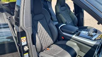 Audi Q8  picture 54