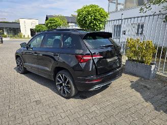 Skoda Karoq  picture 2