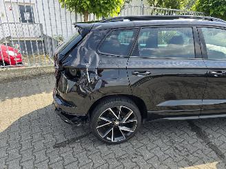 Skoda Karoq  picture 18