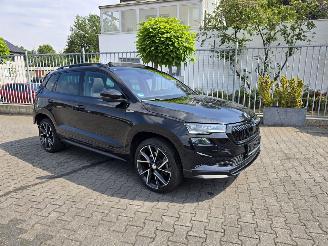 krockskadad bil auto Skoda Karoq  2024/2