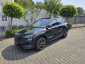 Skoda Karoq  picture 4