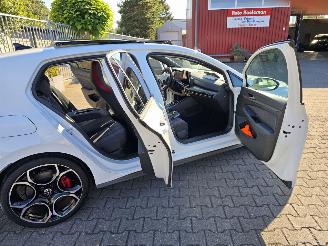 Volkswagen Golf GTI 195 kW PANORAMA IQ LED picture 9
