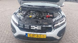 Dacia Jogger 1.0 tce  110pk navi 7 zitter picture 11