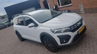 Unfallwagen Dacia Jogger 1.0 tce  110pk navi 7 zitter 2024/8