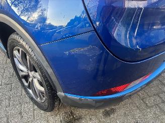 DFSK  SERES 3 picture 5