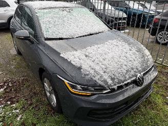 Volkswagen Golf 8.5   1.5 eTSi 110 Kw DSG picture 4